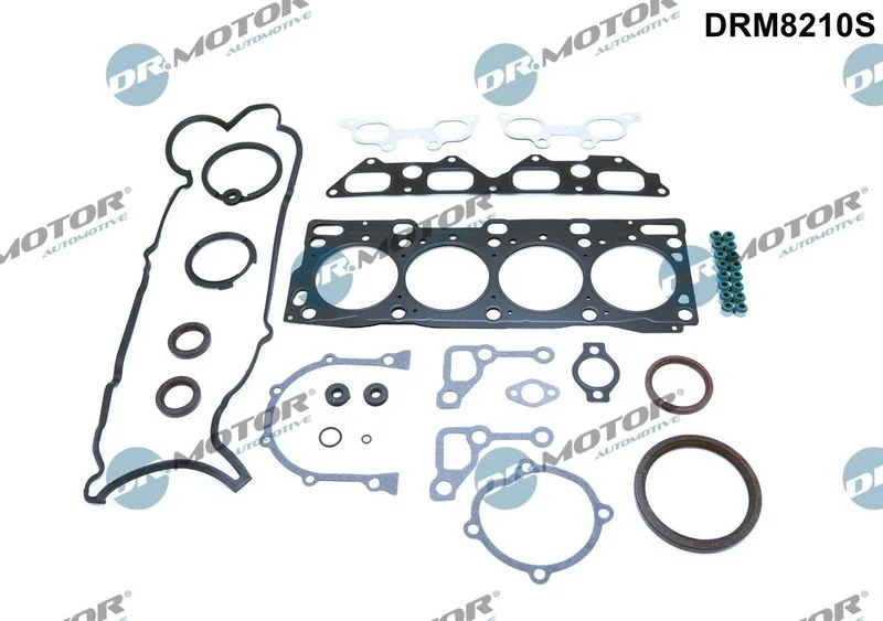 Celoten komplet tesnil, motor Dr.Motor Automotive DRM8210S