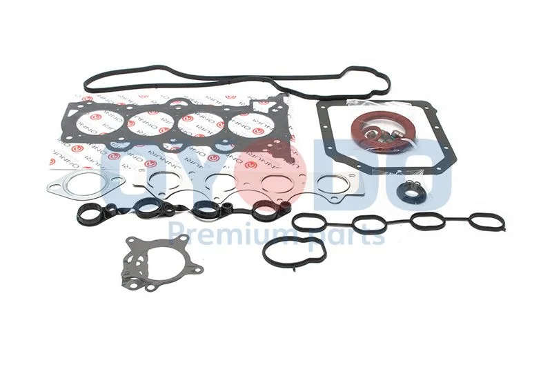 Celoten komplet tesnil, motor Oyodo 10U0325-OYO