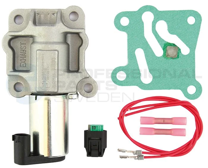Control Valve, camshaft adjustment Professional Parts 21432686