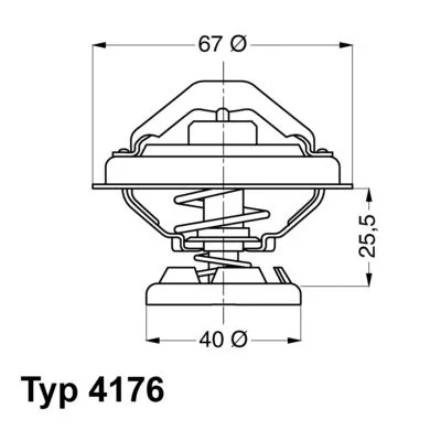 Thermostat, coolant BorgWarner (Wahler) 4176.85D