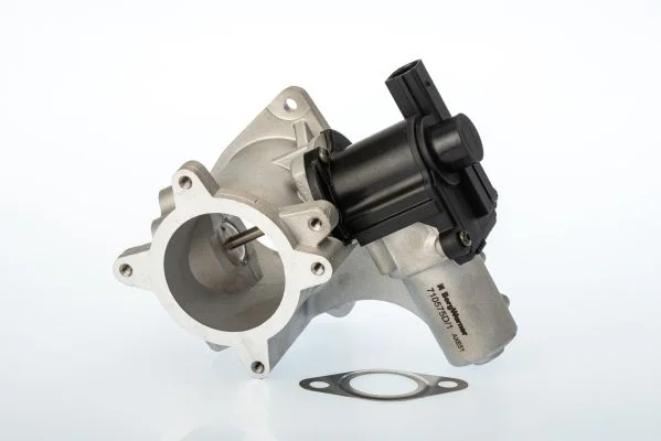 Ventil EGR BorgWarner (Wahler) 710575D