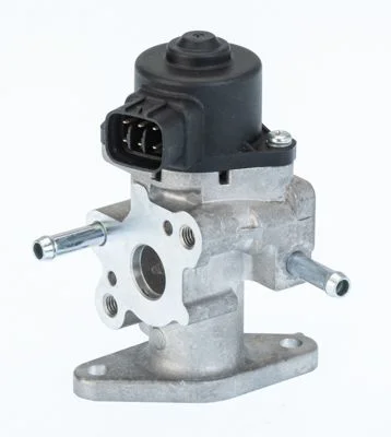 EGR Valve BorgWarner (Wahler) 710709D/1