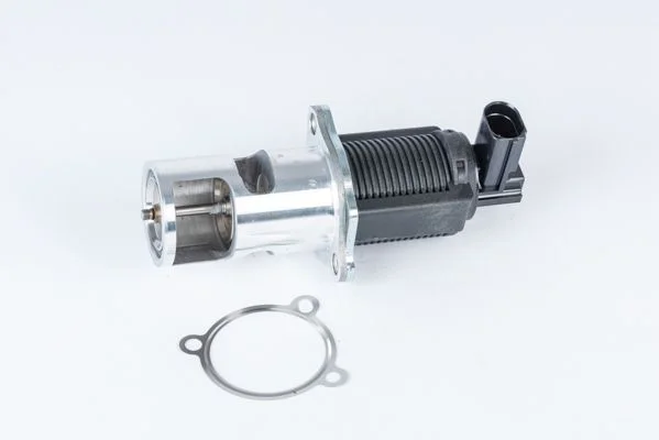Ventil EGR BorgWarner (Wahler) 710723D
