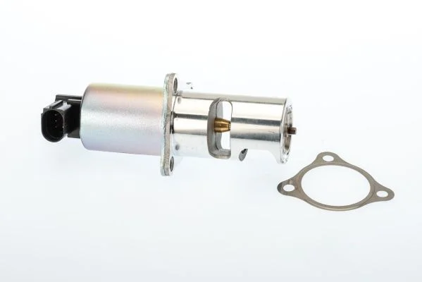 Ventil EGR BorgWarner (Wahler) 710725D/1