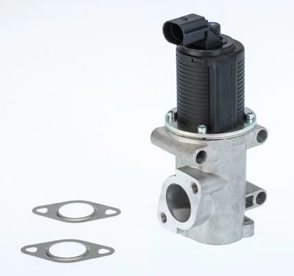 Ventil EGR BorgWarner (Wahler) 710770D