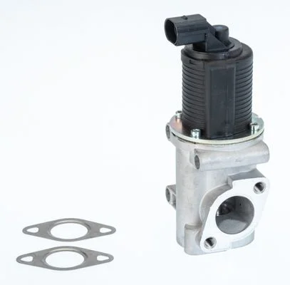 EGR Valve BorgWarner (Wahler) 710772D/1