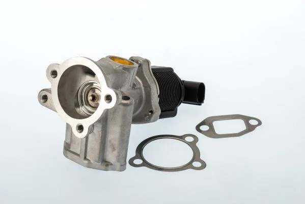 Ventil EGR BorgWarner (Wahler) 710773D/1