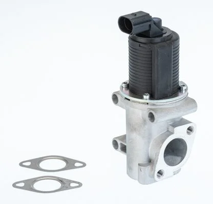 EGR Valve BorgWarner (Wahler) 710774D/1