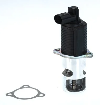 EGR Valve BorgWarner (Wahler) 710776D