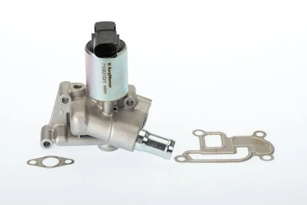 EGR Valve BorgWarner (Wahler) 710831D/1