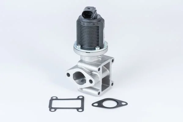 Ventil EGR BorgWarner (Wahler) 710837D