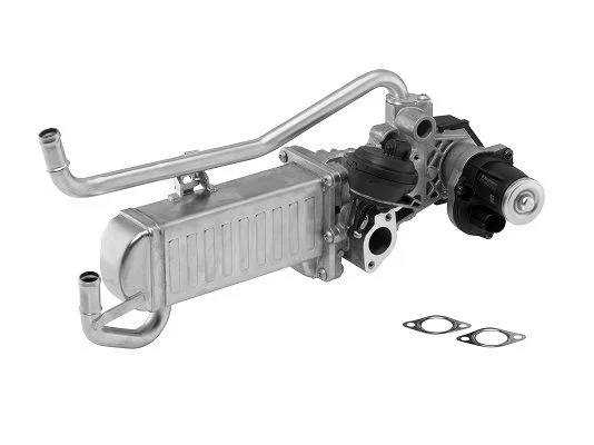 Modul EGR BorgWarner (Wahler) 710863D