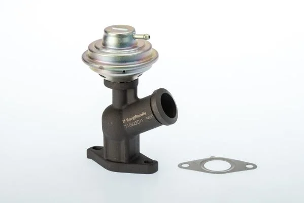 Ventil EGR BorgWarner (Wahler) 710922D/1