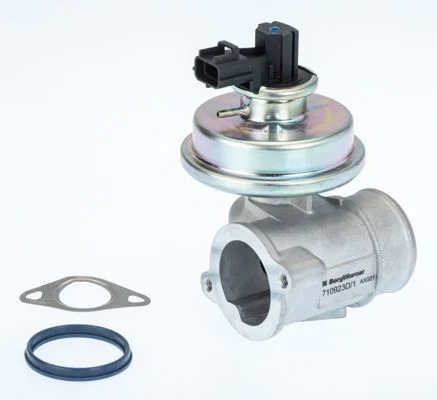 EGR Valve BorgWarner (Wahler) 710923D/1