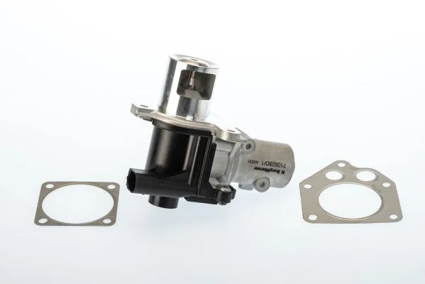 Ventil EGR BorgWarner (Wahler) 710928D/1