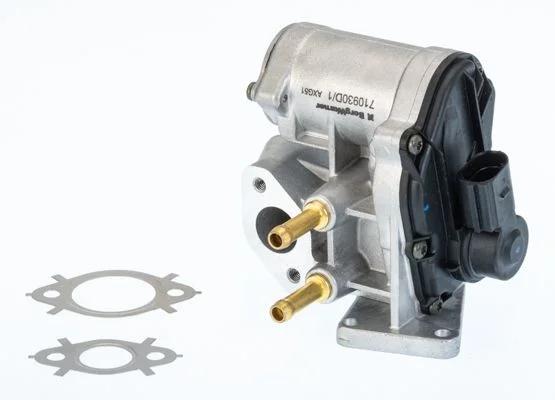 Ventil EGR BorgWarner (Wahler) 710930D/1