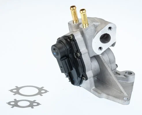 Ventil EGR BorgWarner (Wahler) 710937D