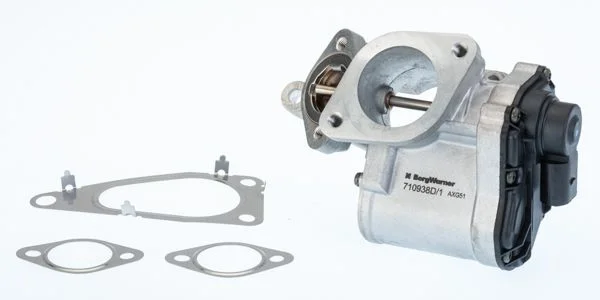 Ventil EGR BorgWarner (Wahler) 710938D/1