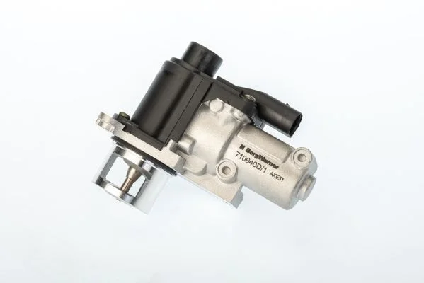 EGR Valve BorgWarner (Wahler) 710940D/1