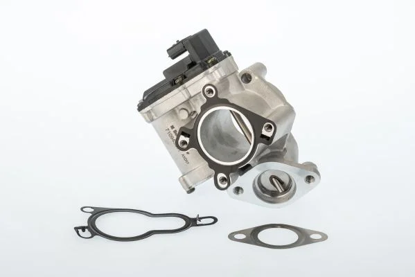 Ventil EGR BorgWarner (Wahler) 710945D/1
