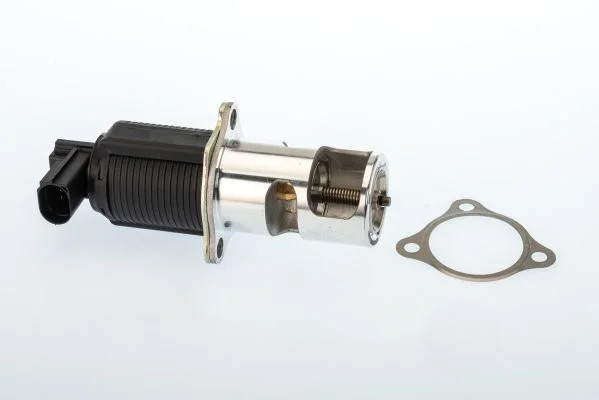 Ventil EGR BorgWarner (Wahler) 710950D/1