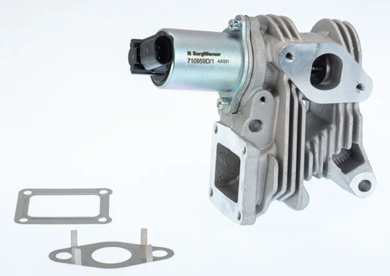 EGR Valve BorgWarner (Wahler) 710959D/1