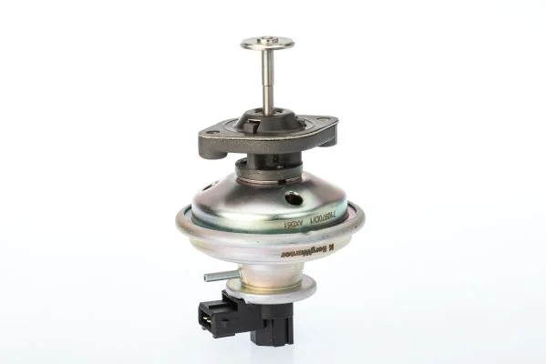 Ventil EGR BorgWarner (Wahler) 710970D
