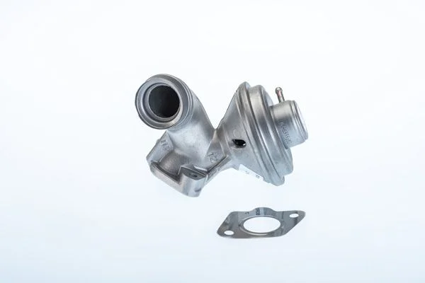 EGR Valve BorgWarner (Wahler) 710973R