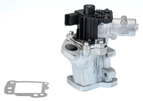 Ventil EGR BorgWarner (Wahler) 710975D