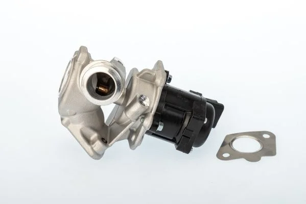 Ventil EGR BorgWarner (Wahler) 711020D/1
