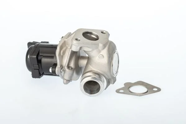 Ventil EGR BorgWarner (Wahler) 711021D/1