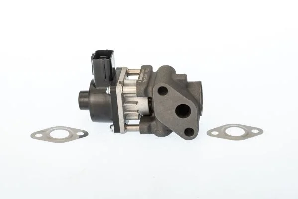 Ventil EGR BorgWarner (Wahler) 711024D