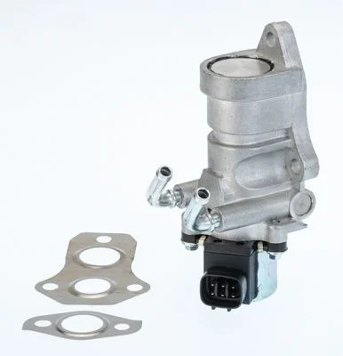 EGR Valve BorgWarner (Wahler) 711030D/1