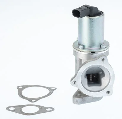 Ventil EGR BorgWarner (Wahler) 711031D
