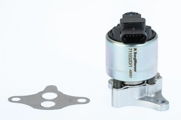 EGR Valve BorgWarner (Wahler) 711032D