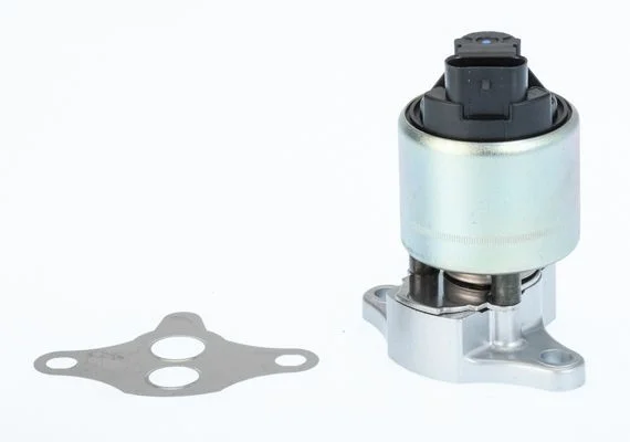 Ventil EGR BorgWarner (Wahler) 711033D