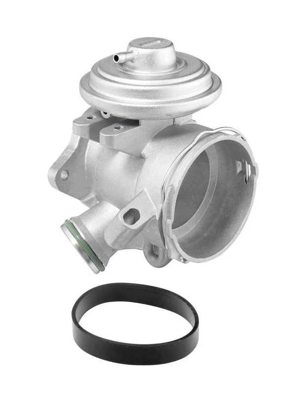 EGR Valve BorgWarner (Wahler) 712006D