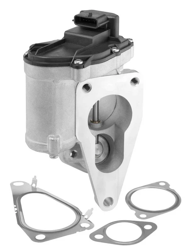 Ventil EGR BorgWarner (Wahler) 712018D