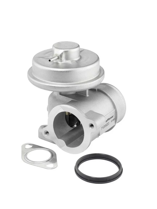 Ventil EGR BorgWarner (Wahler) 712052D