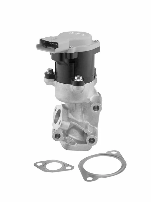 EGR Valve BorgWarner (Wahler) 712057D