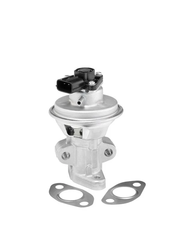 EGR Valve BorgWarner (Wahler) 712063D