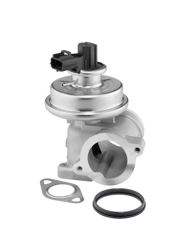 Ventil EGR BorgWarner (Wahler) 712064D