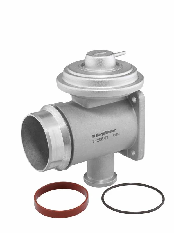Ventil EGR BorgWarner (Wahler) 712067D