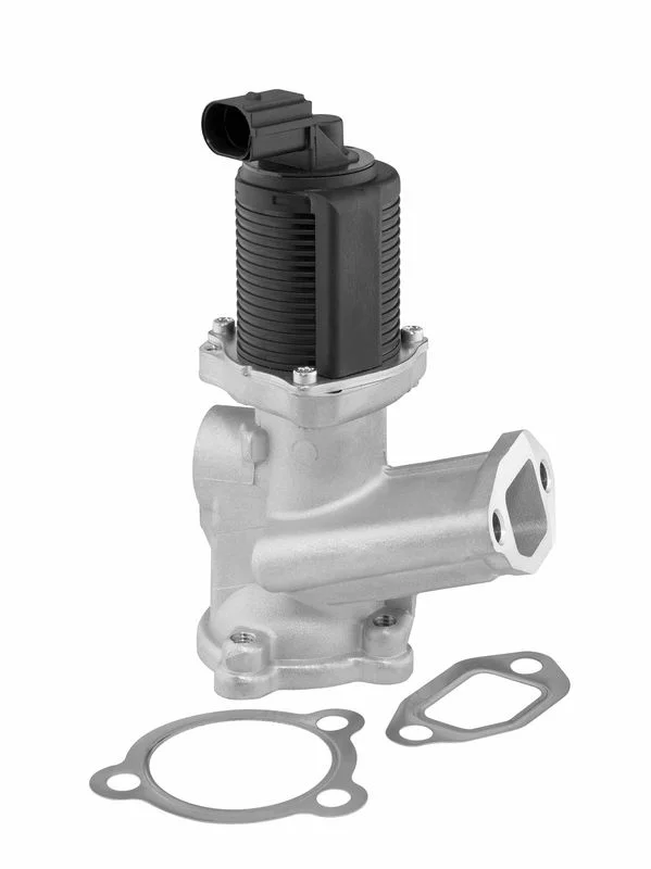EGR Valve BorgWarner (Wahler) 712070D