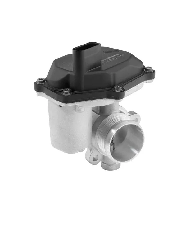 EGR Valve BorgWarner (Wahler) 712079D