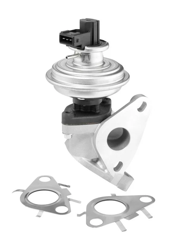 EGR Valve BorgWarner (Wahler) 712092D