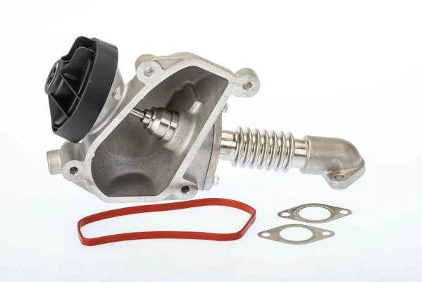 Ventil EGR BorgWarner (Wahler) 7206D