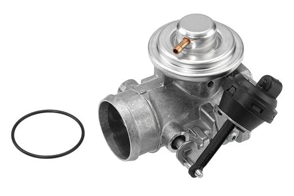 EGR Valve BorgWarner (Wahler) 7223D/1