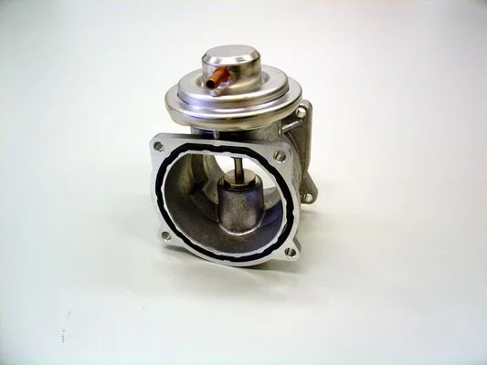 Ventil EGR BorgWarner (Wahler) 7268D