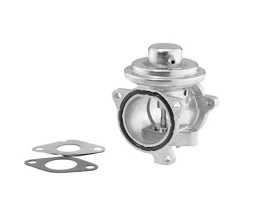 EGR Valve BorgWarner (Wahler) 7271D